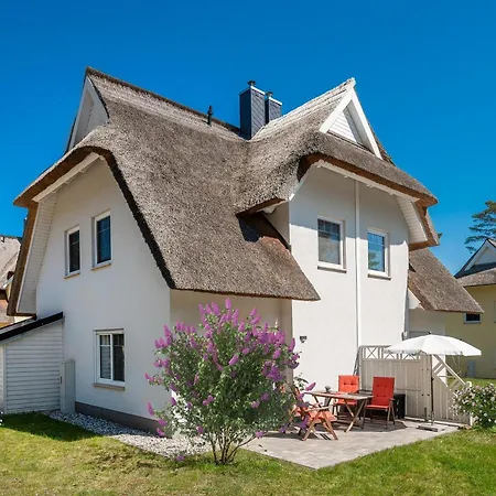 Uulennuest * Zirchow